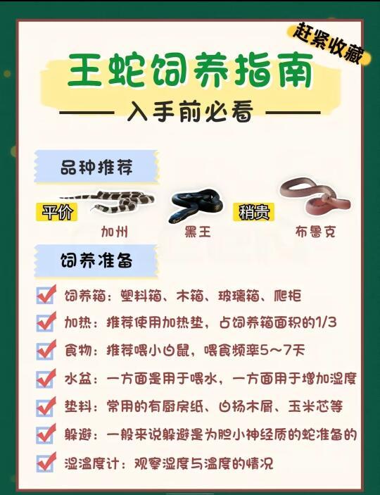 王蛇饲料指南，每天分享干货。求关注哟。