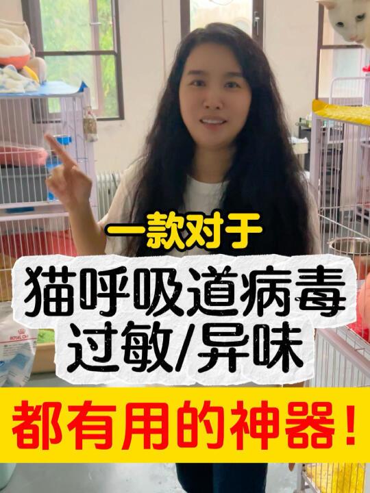 猫呼吸道问题就用它！