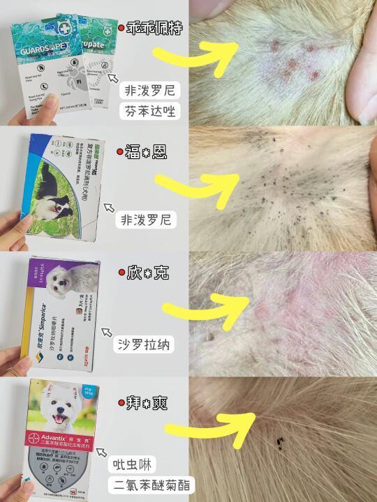 配享太庙！新品狗狗驱虫选对不伤狗