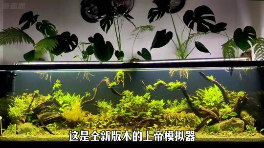 全新版上帝模拟器