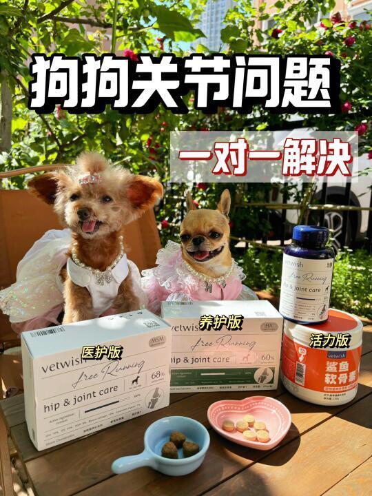 vetwish软骨素 3⃣个版本 如何选择