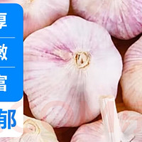 鲁韵忆乡：精选江西紫白皮蒜的独特魅力