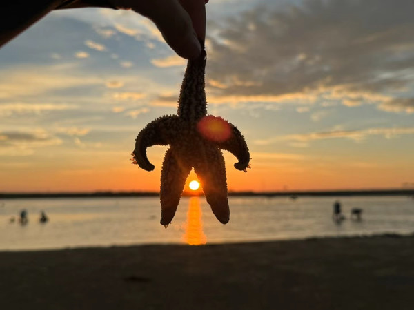 夏天约个日落的时间 来海边听海吧