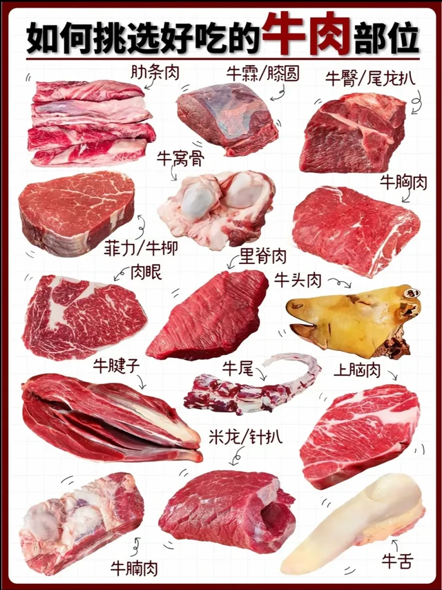 🥩告诉大家快速学会如何挑选好吃的牛肉💪