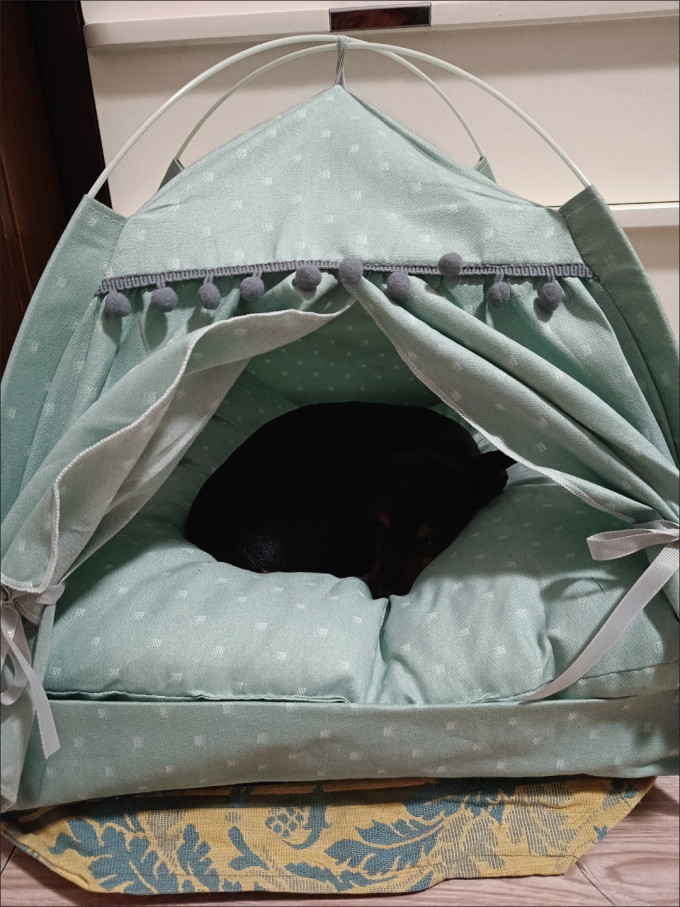 梦圆豪通用猫狗窝
