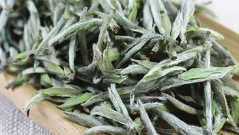 健康管理师眼中的茶道，“因人而饮”——红茶、白茶、乌龙茶