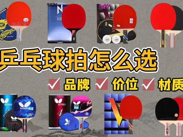 【运动必看】2024年4月新手兵乓球拍怎么选？全价位新手&进阶参考推荐 经典单排+实惠对拍 红双喜/蝴蝶/双鱼/729兵乓球拍