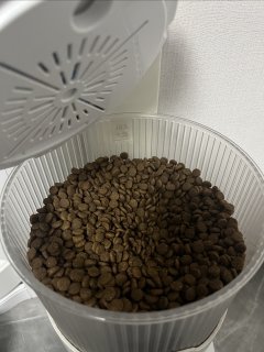 自动投喂机给猫咪投喂猫粮更方便