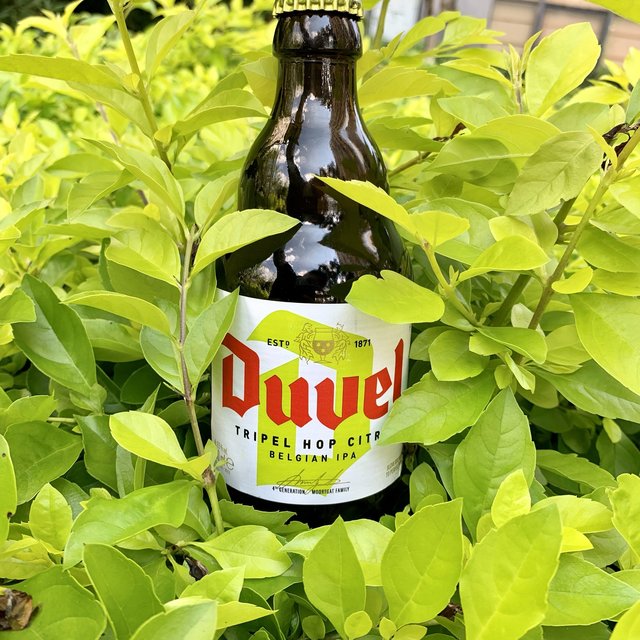 督威三花，IPA类啤酒绕不过去的经典之一