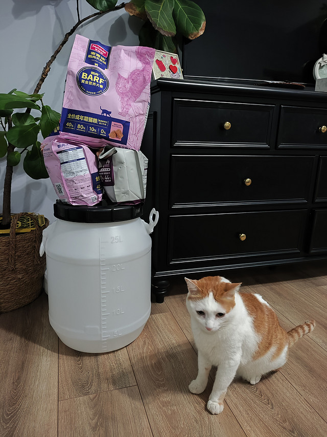 25 L的发酵桶即能装猫粮还能当床头柜，真的拜橘猫所赐！我谢谢它！！