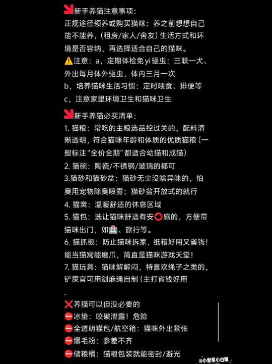极简养猫经验分享👉附新手养猫必买清单