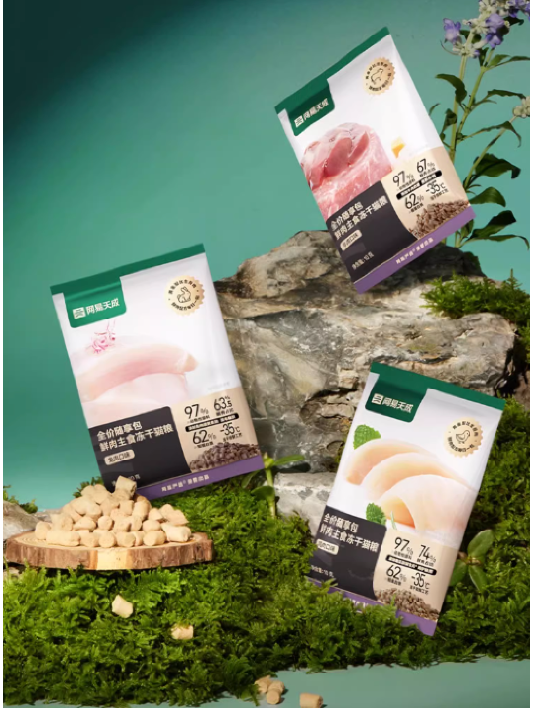 【新品速递】网易天成火力全开,新厂投产+新品首发,真的是太全面了!