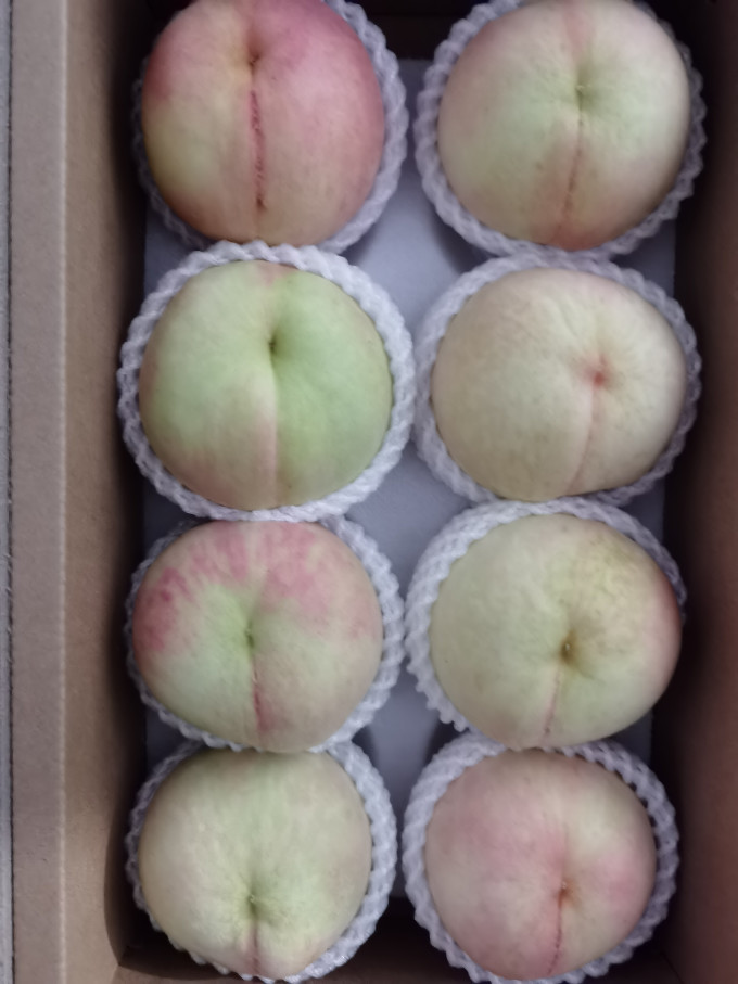 其他水果