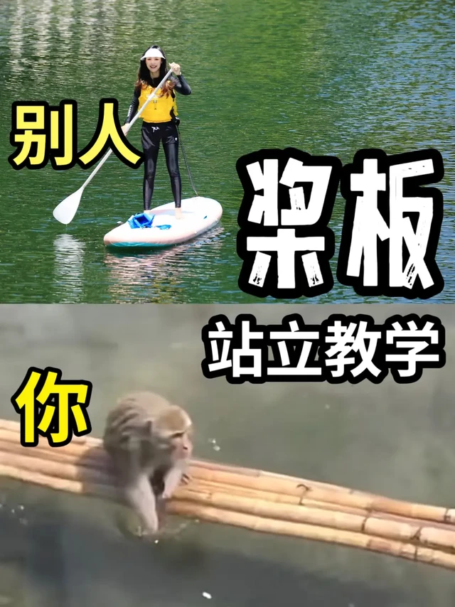 去玩桨板当然得站起来才酷啊｜桨板教学