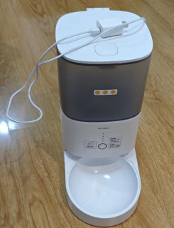 告别手忙脚乱，宠物喂食器助你轻松养宠！