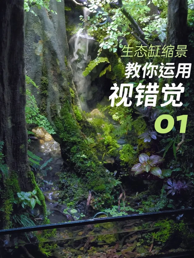 生态缩景（上）-教你运用视错觉