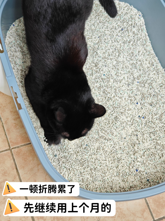 绿之源检测盒