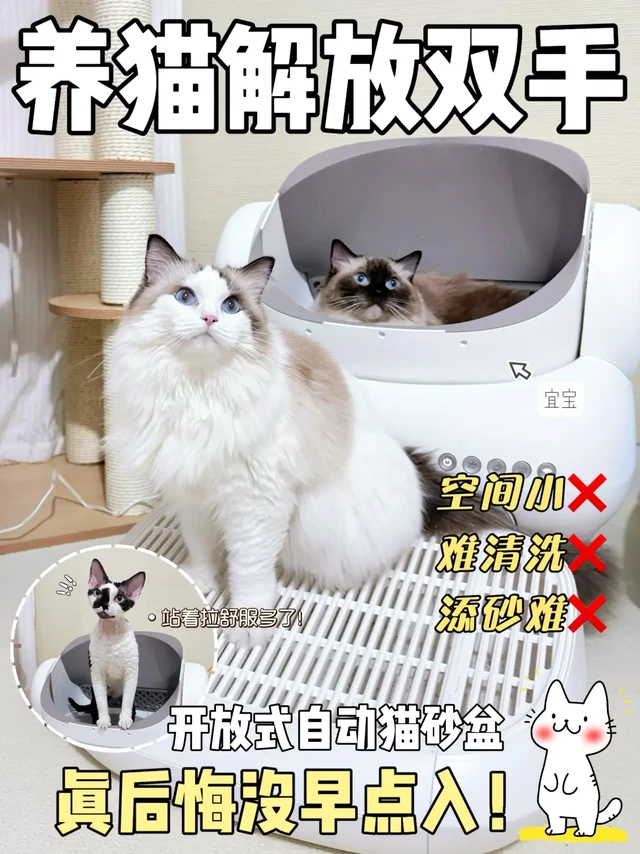 服了❗️自动猫砂盆的痛点竟然被它一一解决