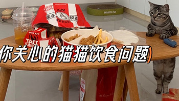 一些猫饮食方面问题的解答，看看你有没有这样的疑问