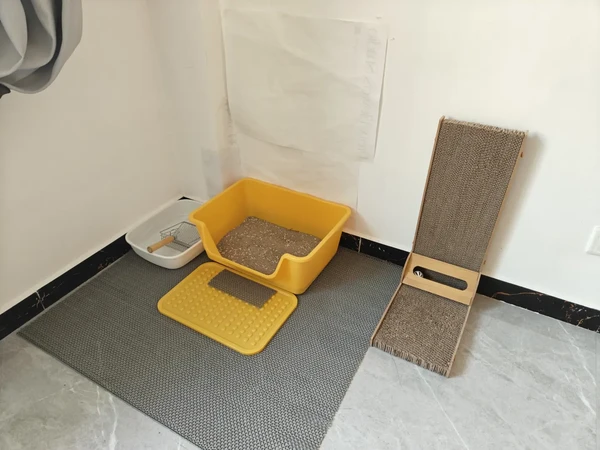 新手养猫省钱推荐（小房间）