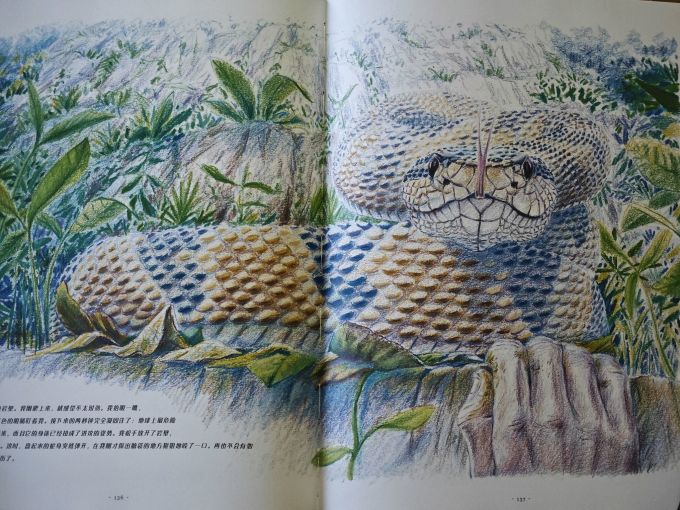 海峡文艺出版社科普/百科