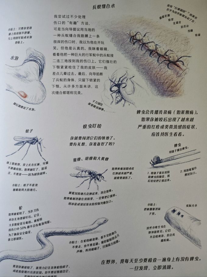 海峡文艺出版社科普/百科