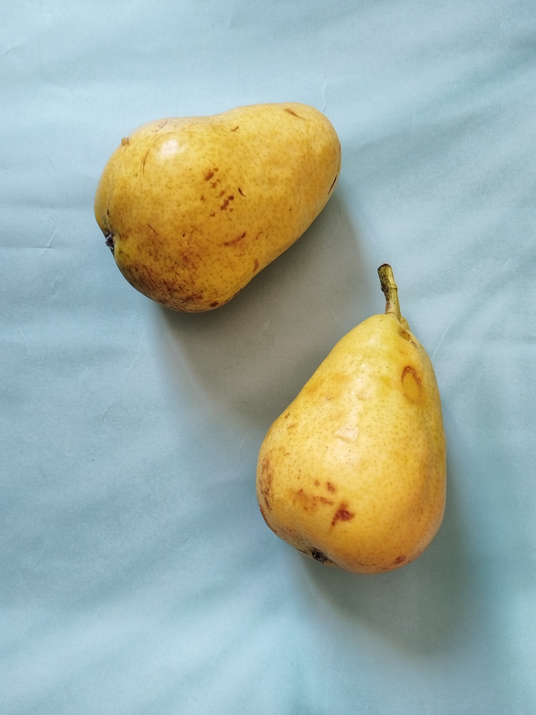 大头梨软梨,软糯香甜,细腻多汁