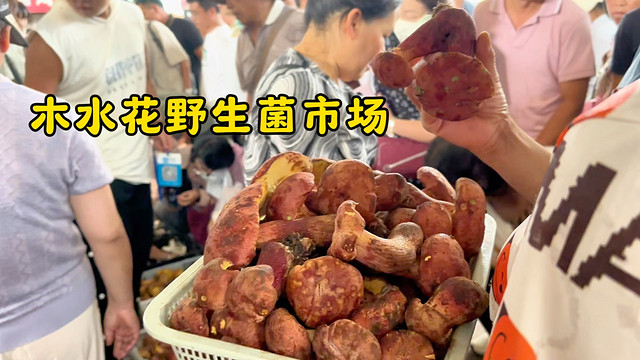 夏天云南旅行不能错过的打卡点！野生菌市场