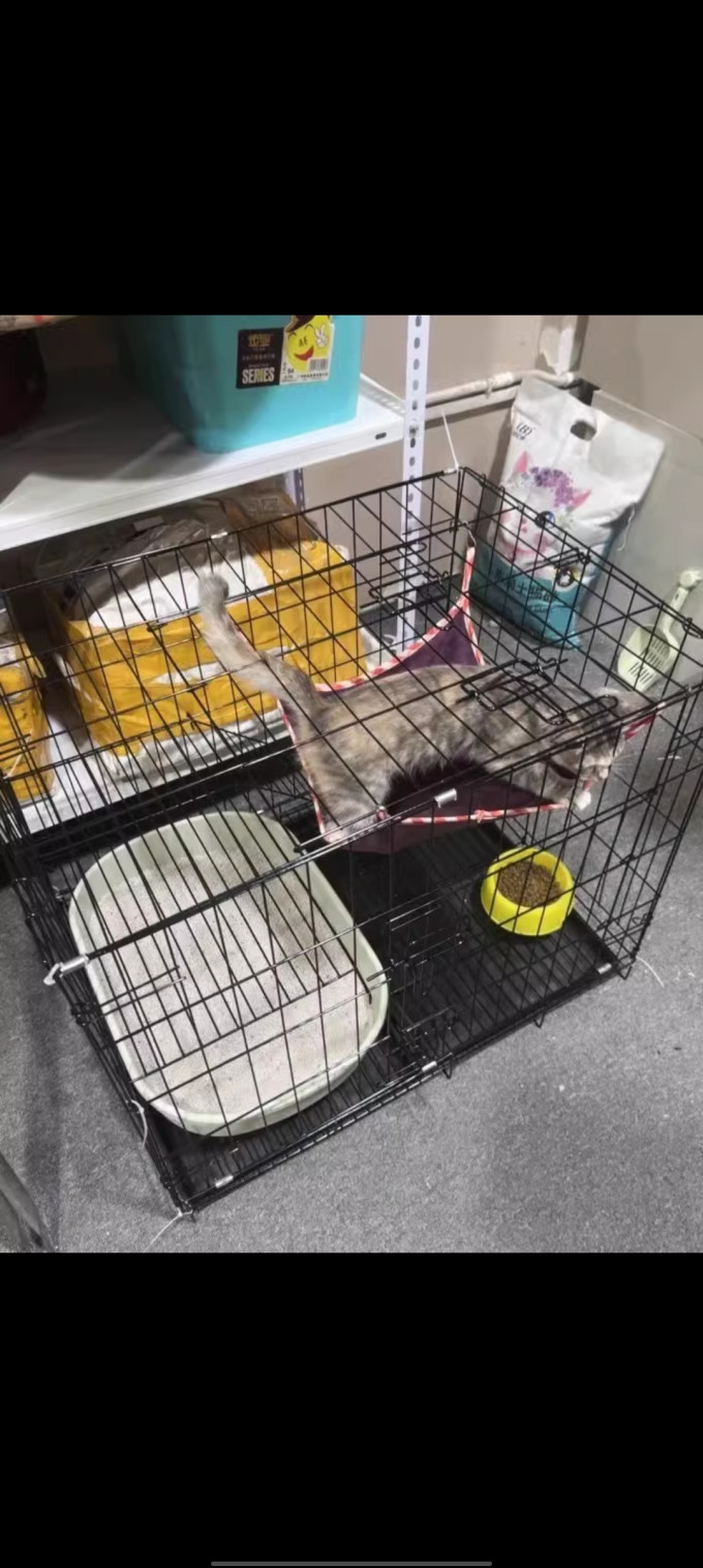 猫笼/猫别墅