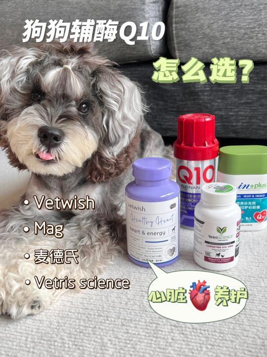 心脏养护篇｜狗狗辅酶Q10自用分享