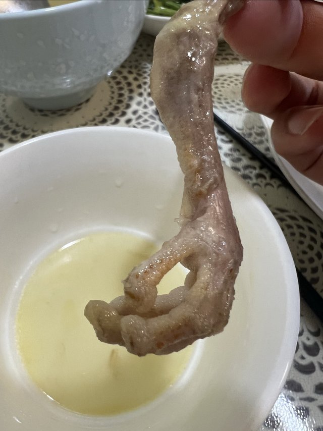放鸽子的下场