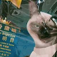 优质养宠必备之怡亲（YOKEN）亮毛明目猫粮全阶段猫主粮成猫主食