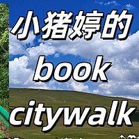 这个暑假是不是只有我在work，别人都在citywalk？跟着我来一场书本上的旅游吧～