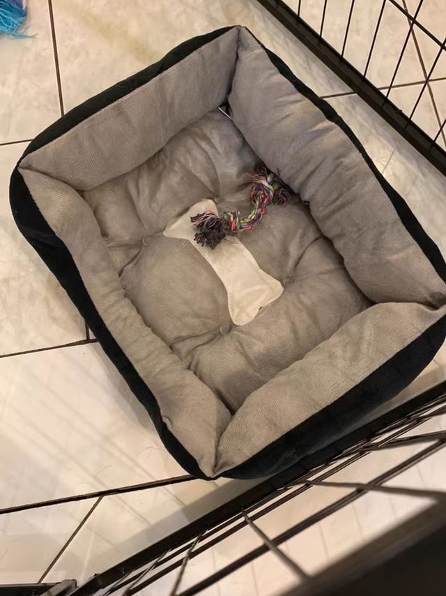 狗窝四季通用夏天宠物窝小型中型大型犬冬天保暖猫窝垫宠物用品床