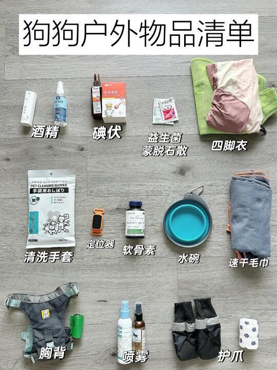 带狗户外｜必备的出行清单（抄作业！