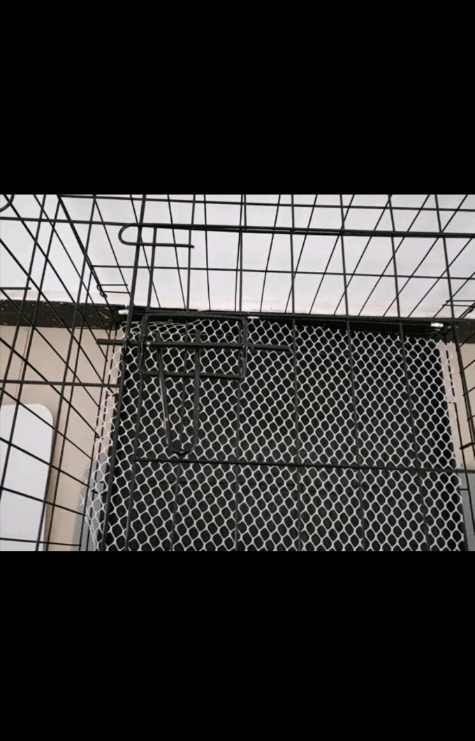 通用猫狗窝