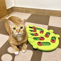 喵趣星球：橘猫的益智玩具大冒险