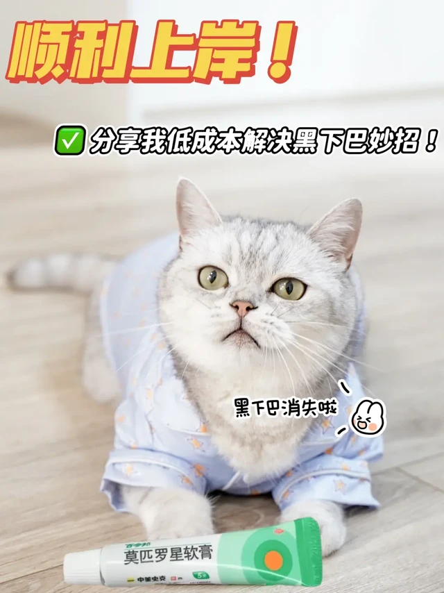 顺利上岸！分享我低成本解决黑下巴妙招！