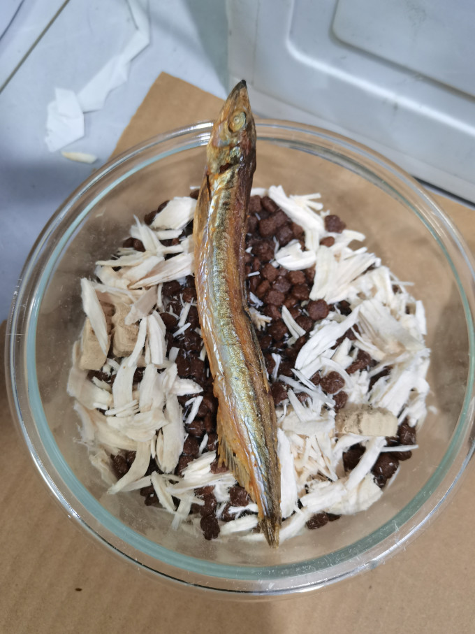 盒边猫咪冻干零食