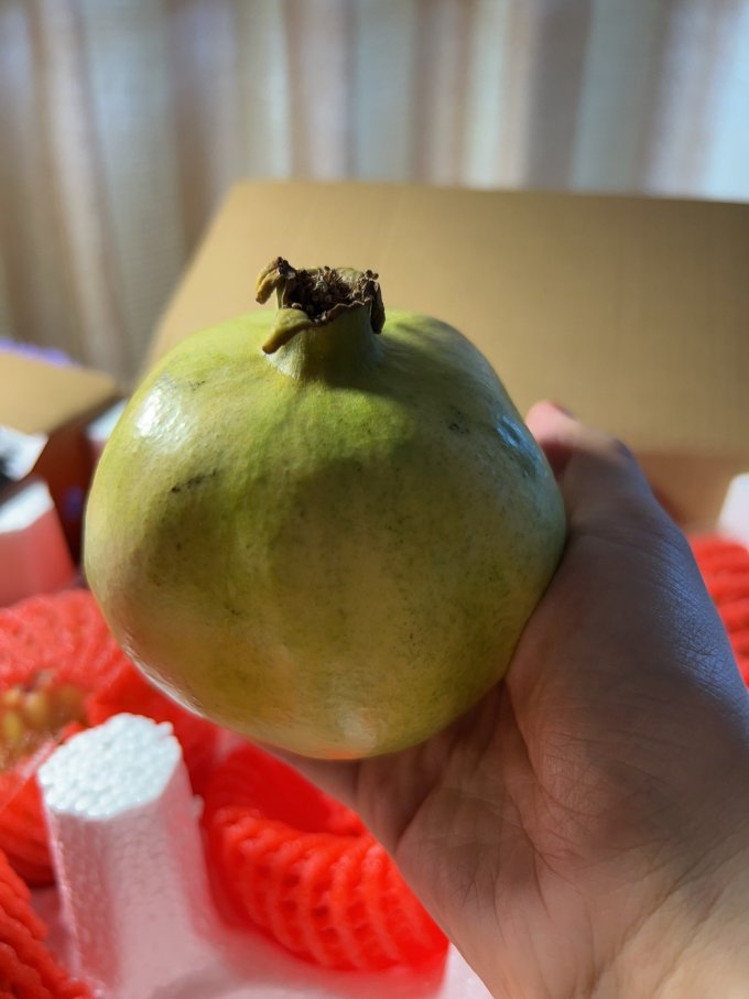 京鲜生其他水果