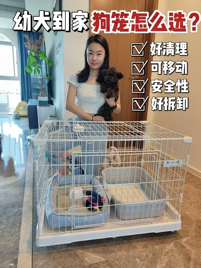 幼犬到家选狗笼VS围栏❓好清理可移动才好用