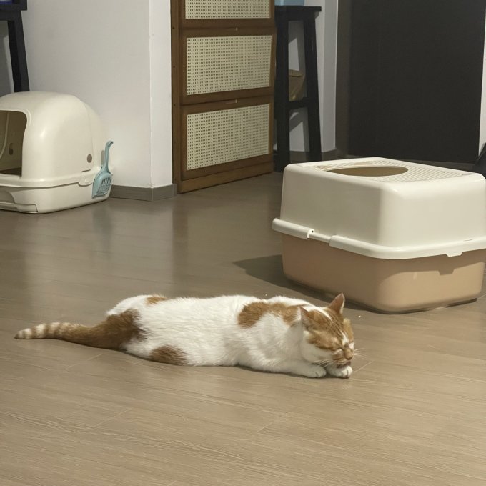 甜浪海全封闭式猫砂盆