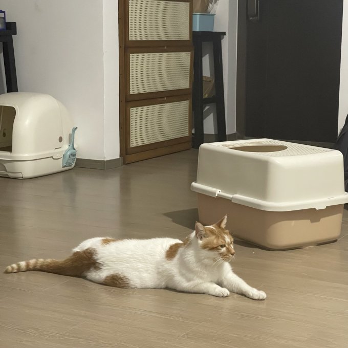 甜浪海全封闭式猫砂盆