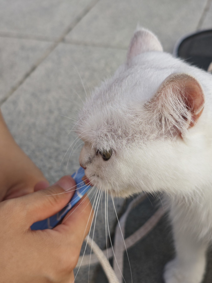 宠匠猫咪肉质零食