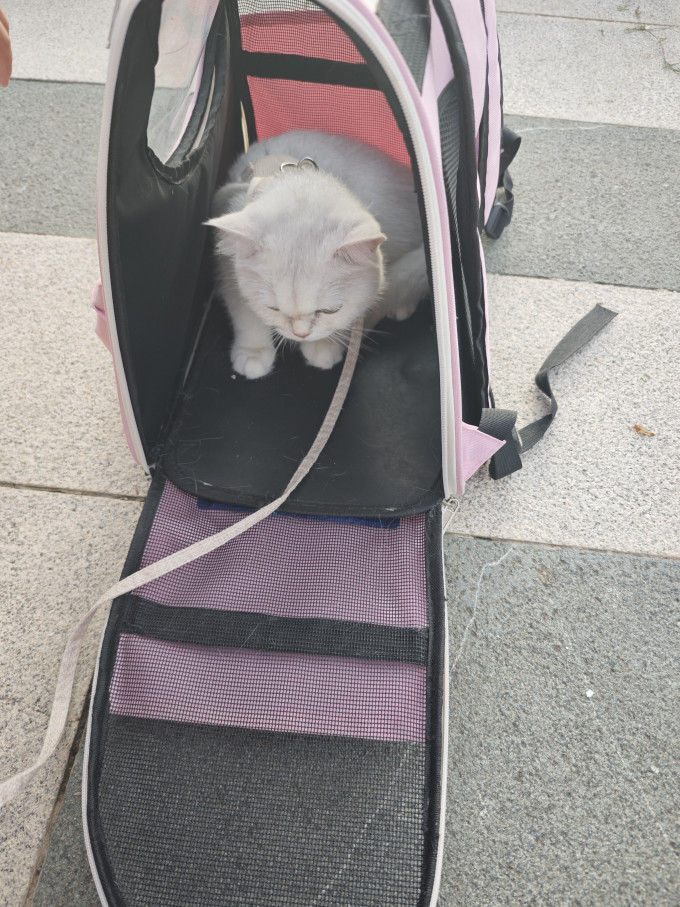 宠匠猫咪肉质零食