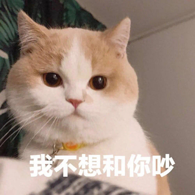 猫咪“不喜欢”这6件事，它一直很想告诉你！