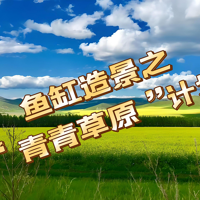 鱼缸造景：手工党意识流造景之「青青草原计划」