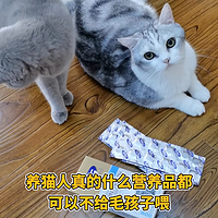 养猫人手一盒的软骨素！