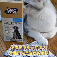 猫咪老了，关节怎么办？