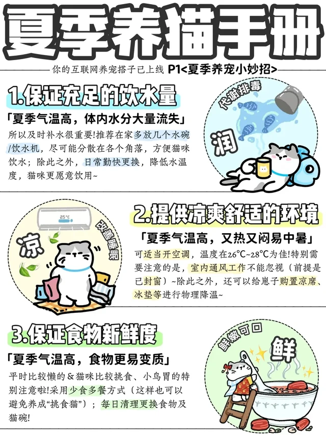 ✅你的夏季养宠手册已送达！不再忧心忡忡～